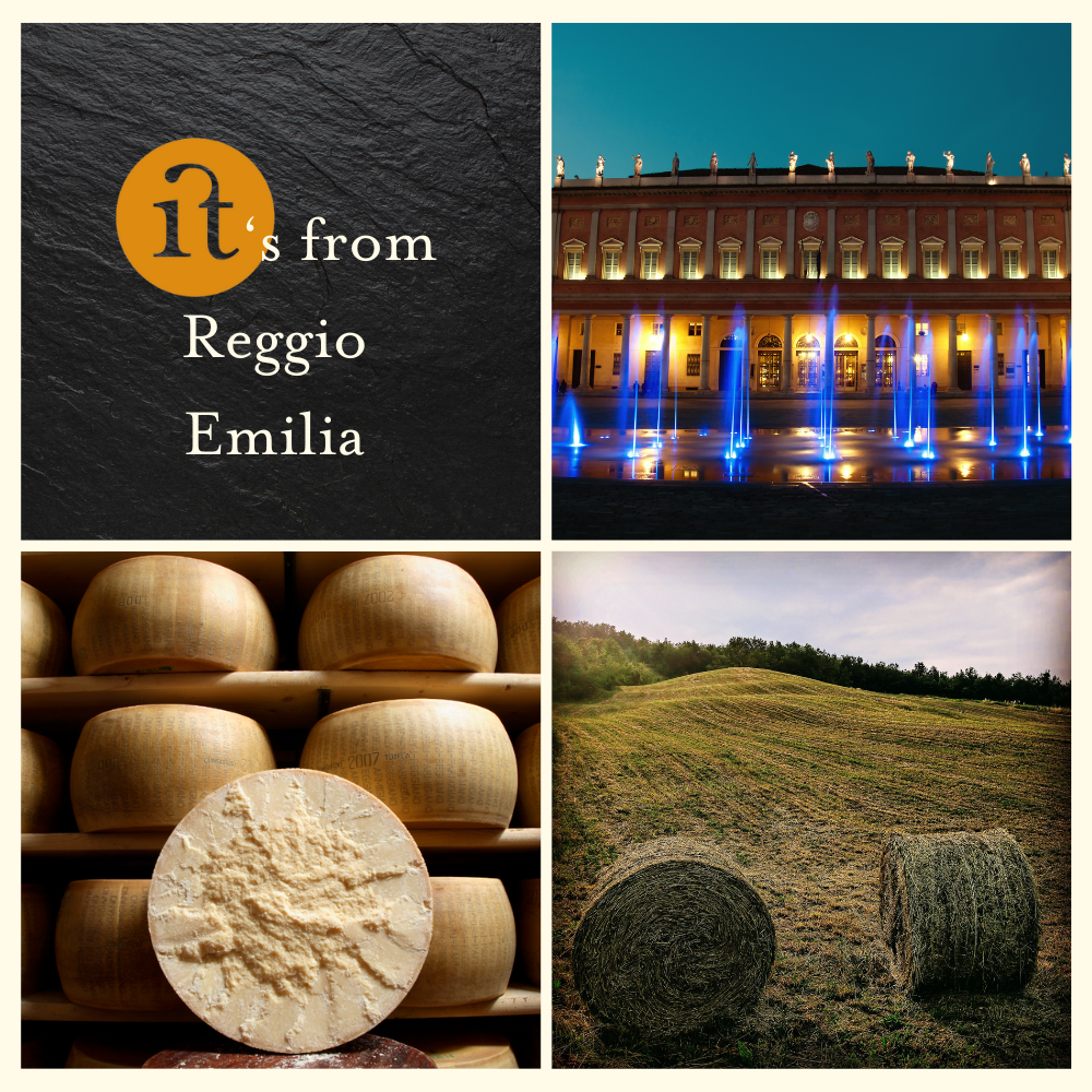 Parmigiano Reggiano Grattugiato Monodose 5 gr - Cartone 200 bustine