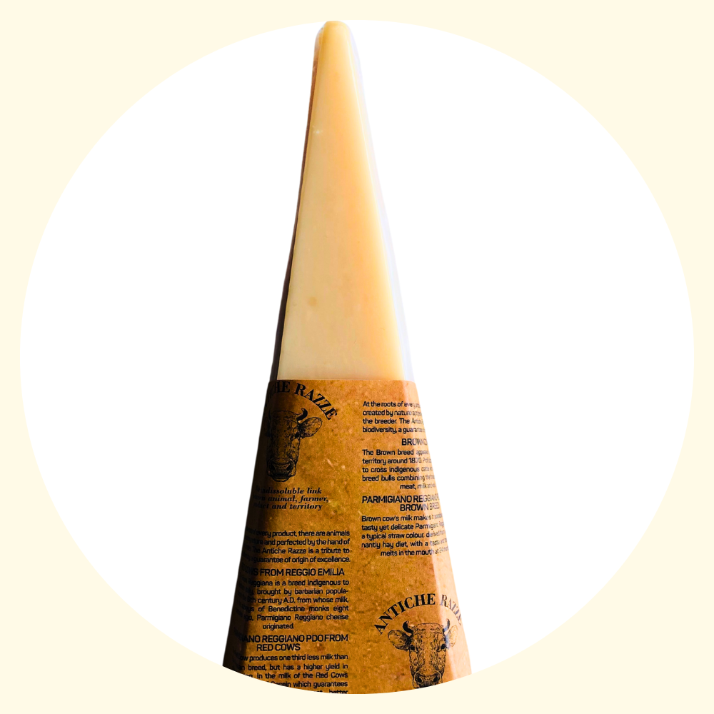 Parmigiano Reggiano Vacche Bianche e Nere Antiche Razze