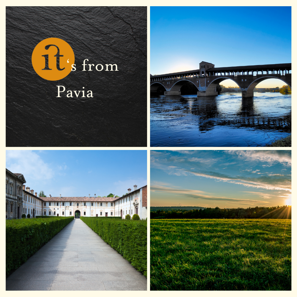 Grana Padano Dop Biologico Grattugiato