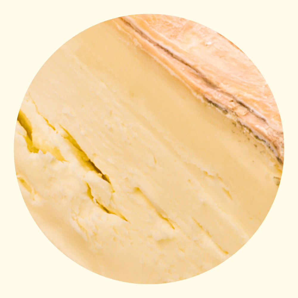Taleggio Dop Dolcearoma