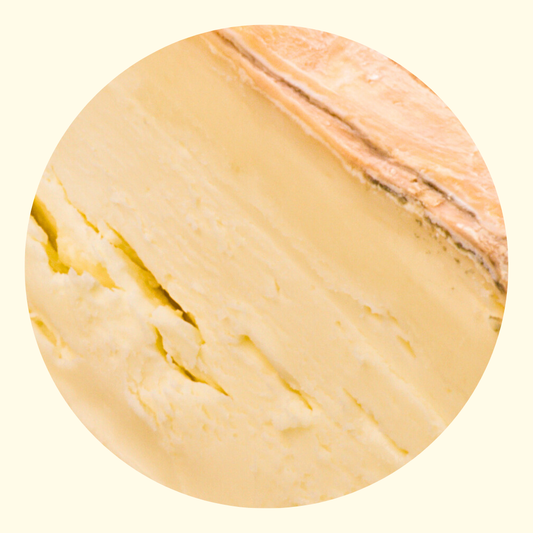 Taleggio Dop Sweet Aroma