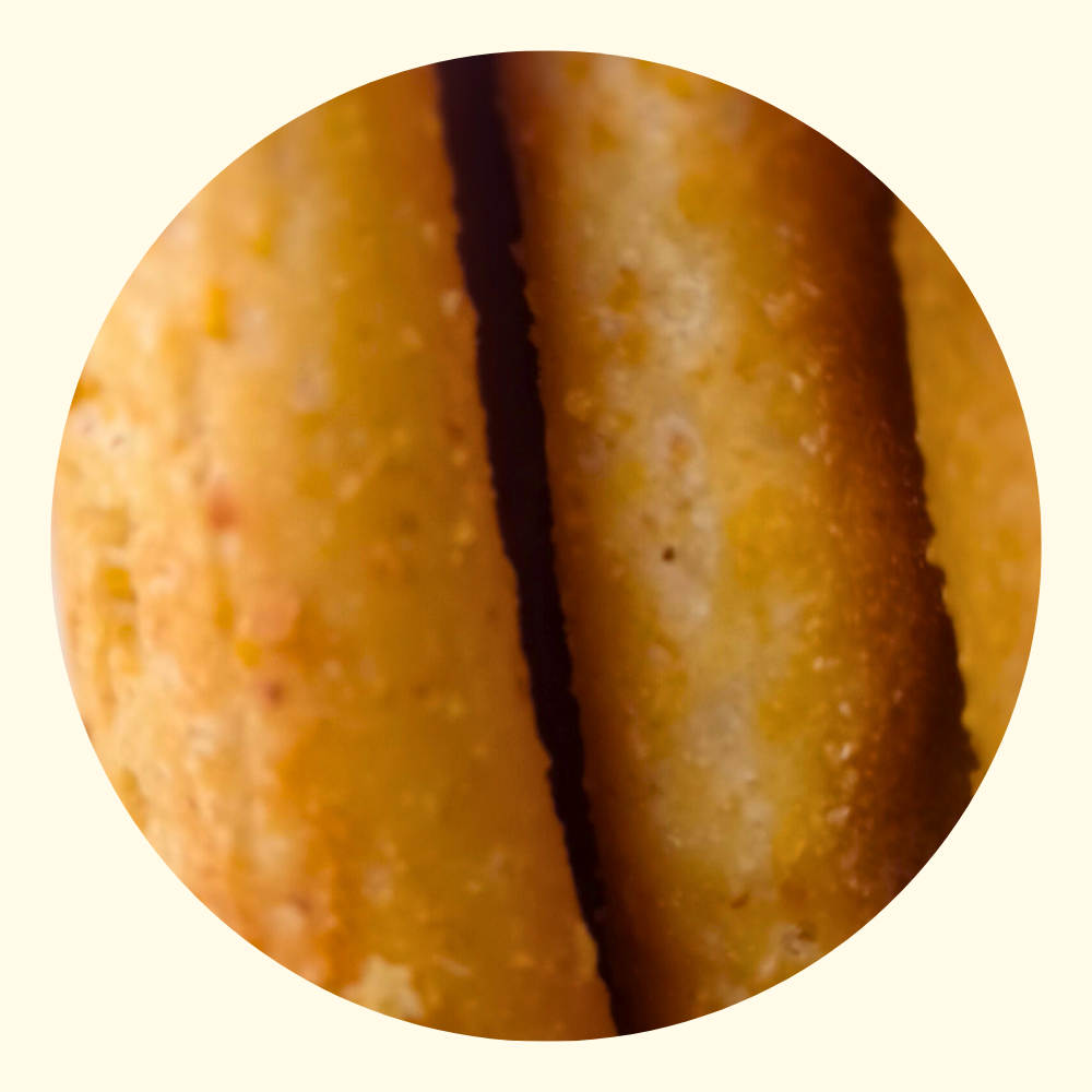 Grissoni con Farina di Mais