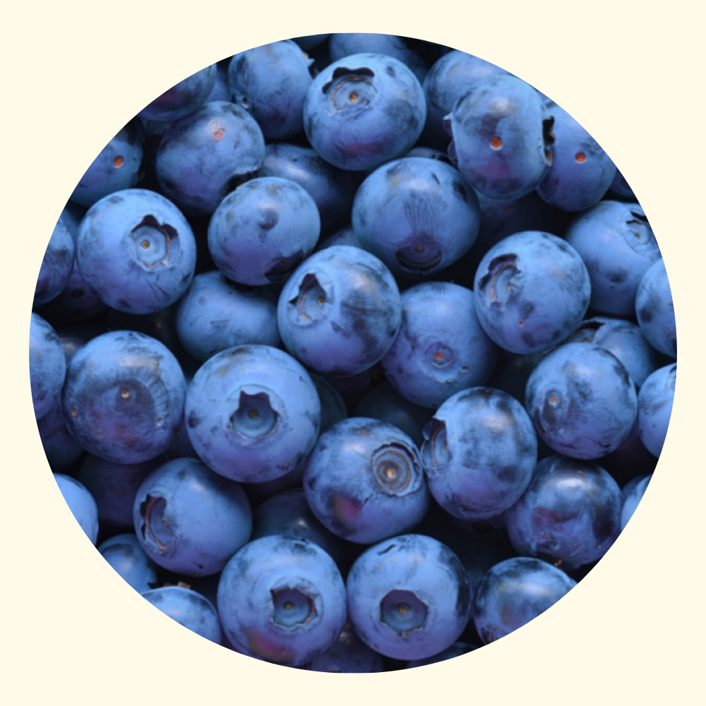 Sciroppo di Mirtillo 0,5 lt
