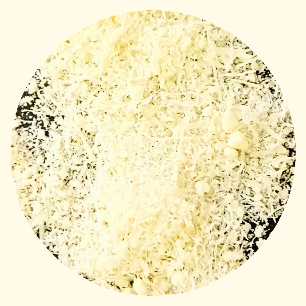 Parmigiano Reggiano Grattugiato Monodose 5 gr - Cartone 200 bustine