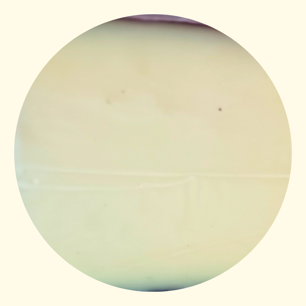 Pecorino Vignaiolo Collezione