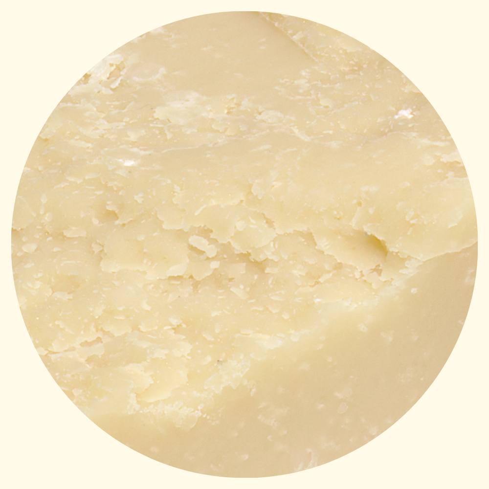 Parmigiano Reggiano Red Cows Antiche Razze