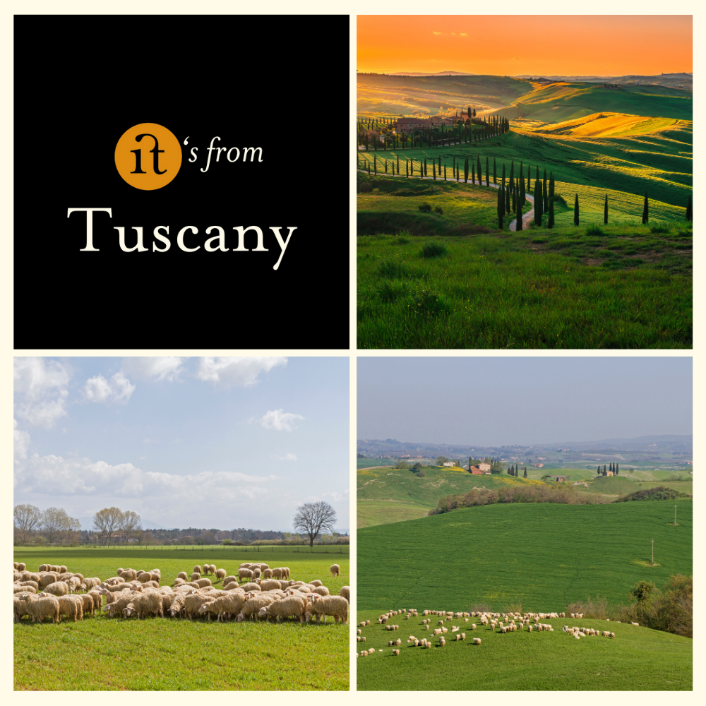 Gewürzte toskanische Pecorino Collezione