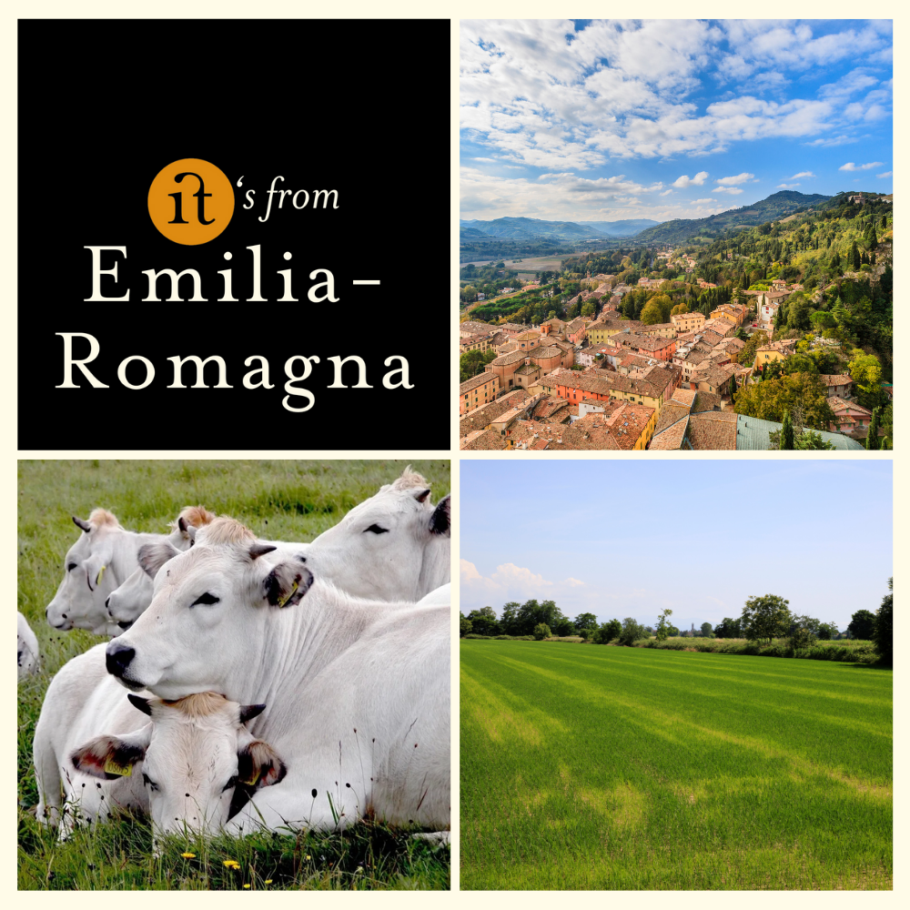 Parmigiano Reggiano White Cows Antiche Razze