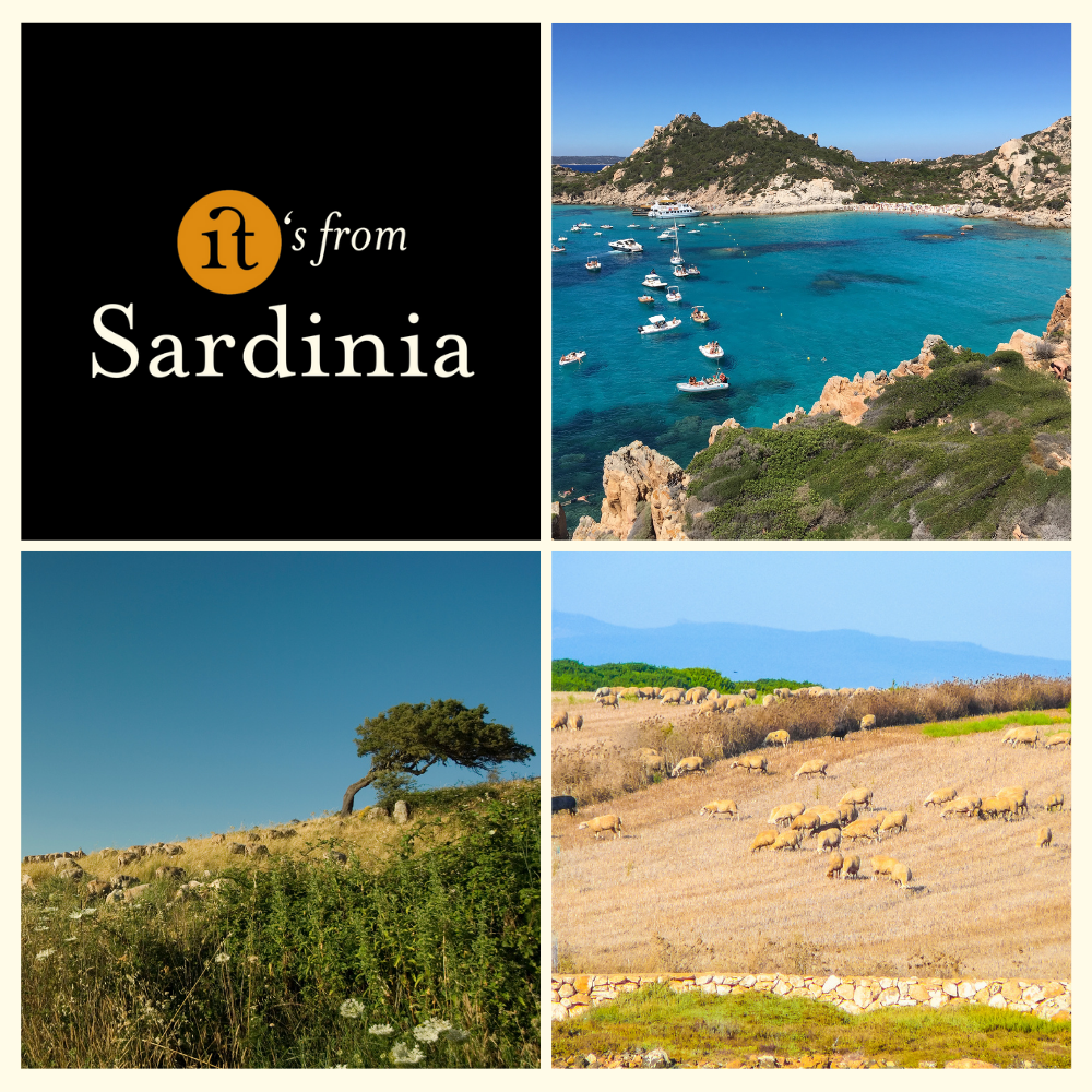 Pecorino Romano Collezione