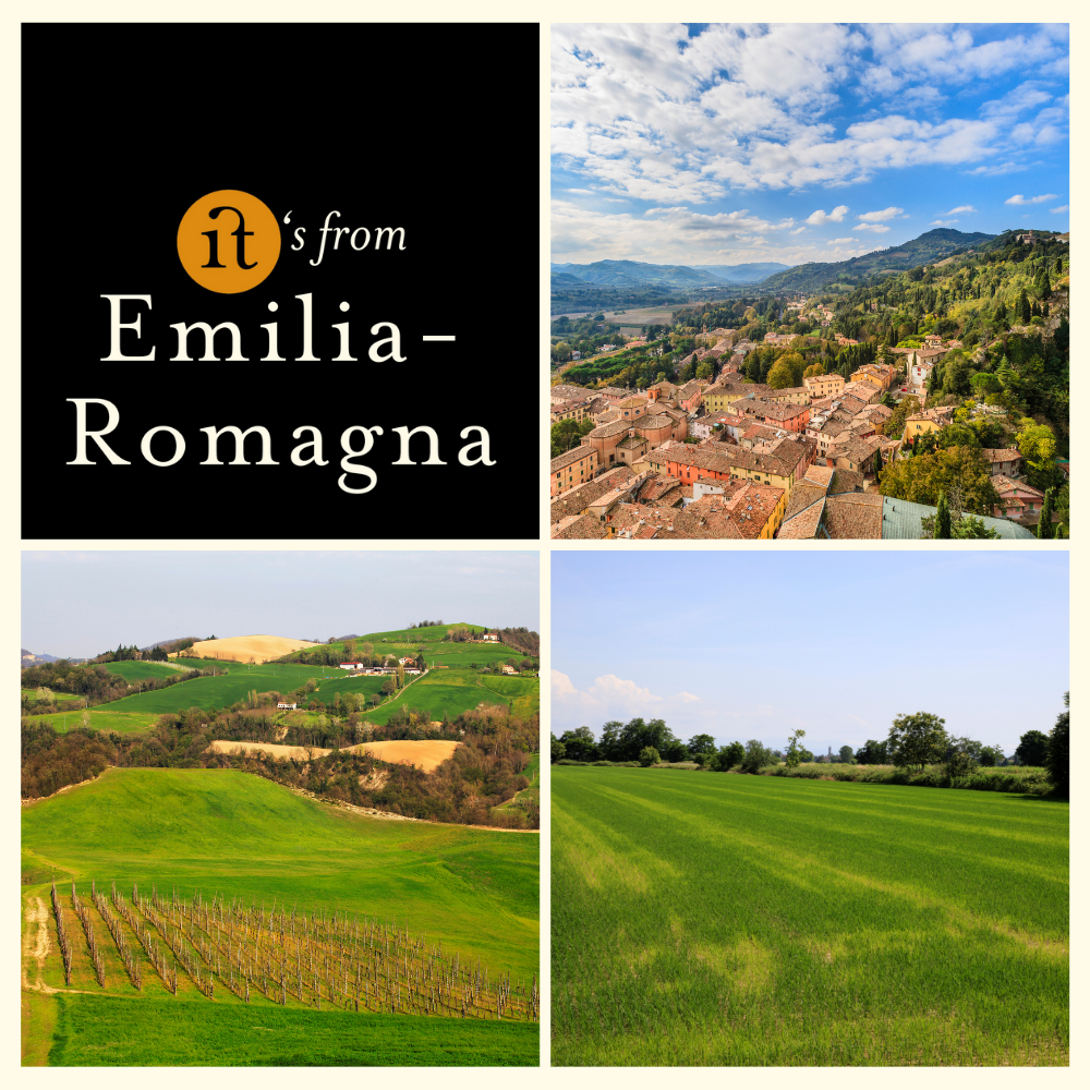 Parmigiano Reggiano Vaches Brunes Races Anciennes