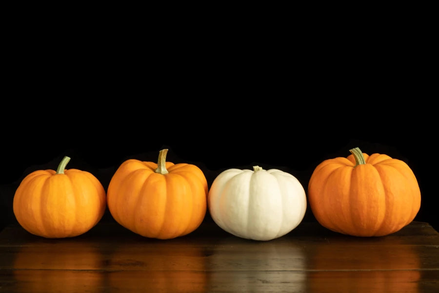 Zucca o Scherzetto