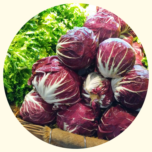 Composta di Radicchio
