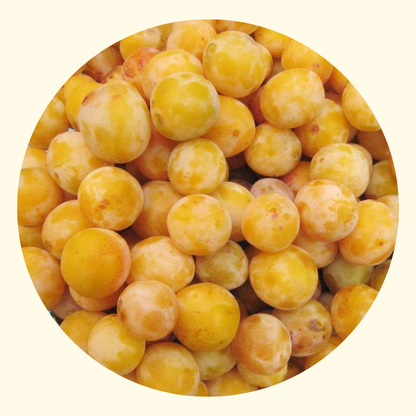 Confettura Extra di Mirabelle 350 gr