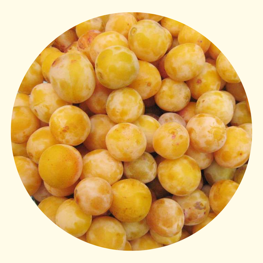 Confettura Extra di Mirabelle 350 gr