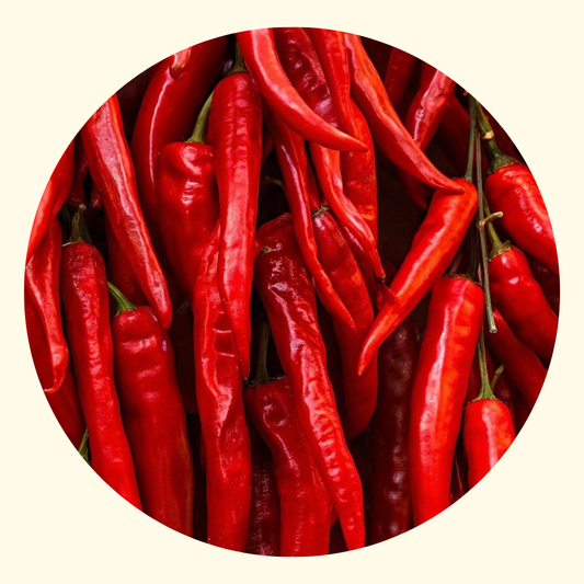 Condimento a Base di Olio di Oliva 100% al Peperoncino – 250 ml