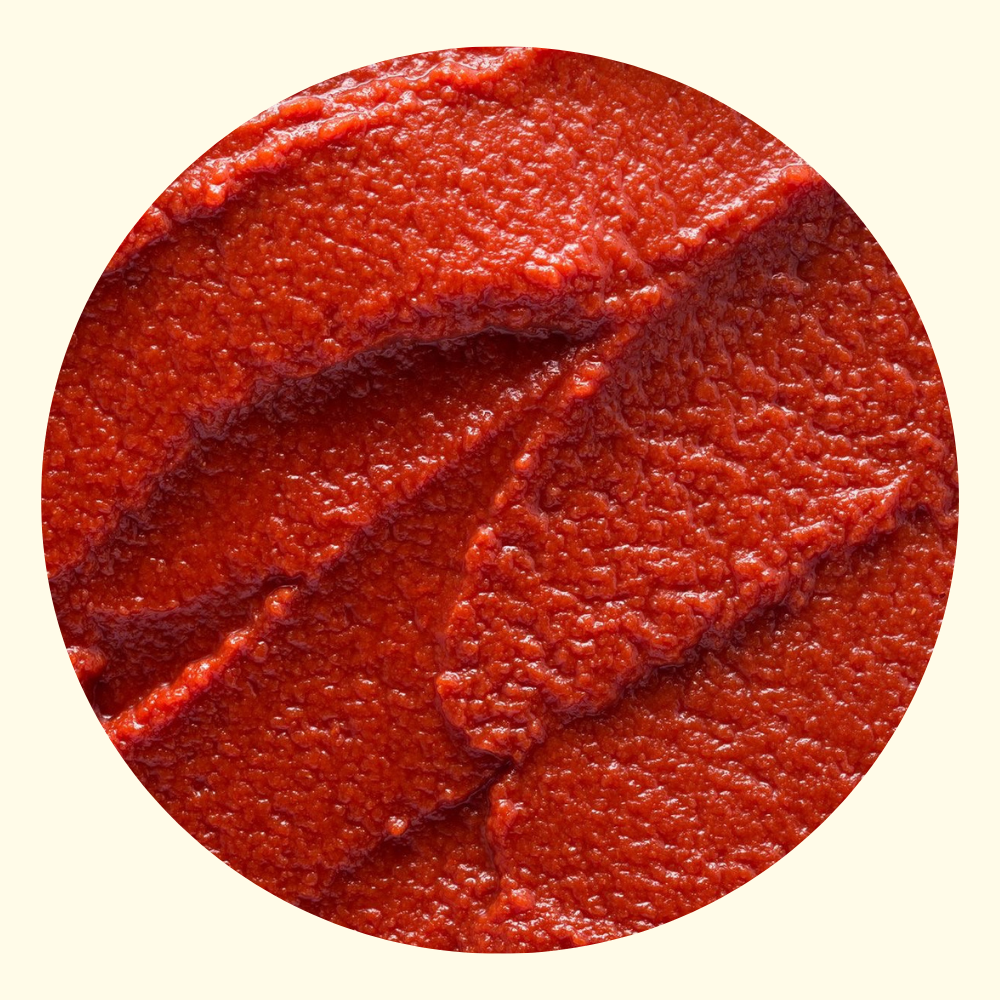 Agripiace Bio-Tomatenpüree