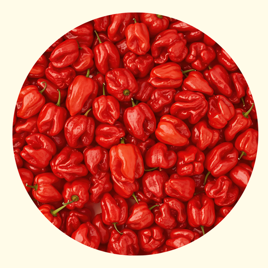 Salsa Habanero Piccante – 100 ml