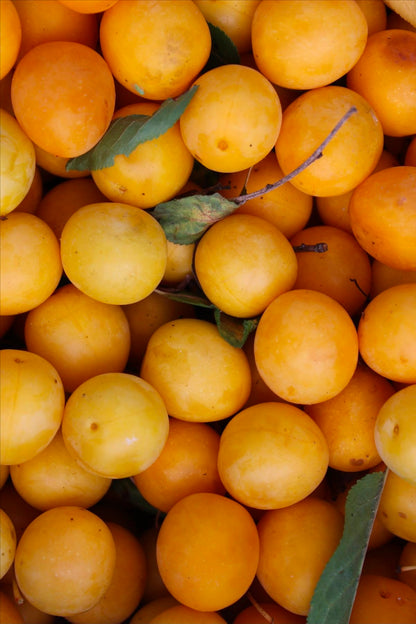 Confettura Extra di Mirabelle Francese 350 gr