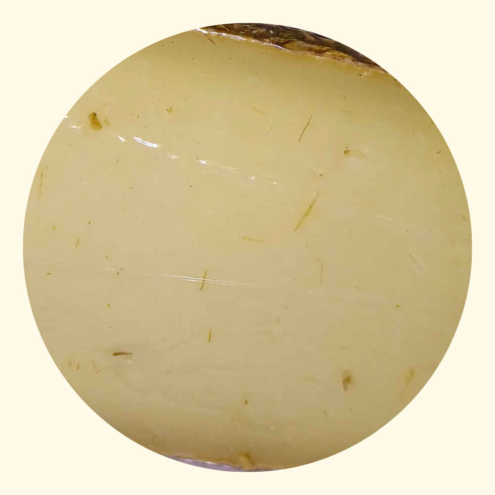 Pecorino Sottopaglia Collezione