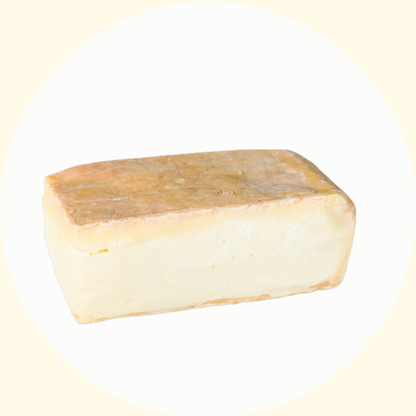 Taleggio DOP