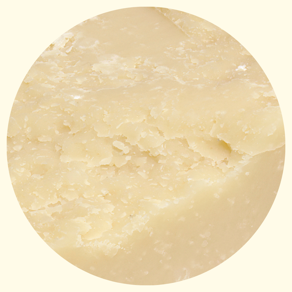 Parmigiano Reggiano Vacche Brune Antiche Razze