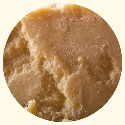 Parmigiano Reggiano Collezione