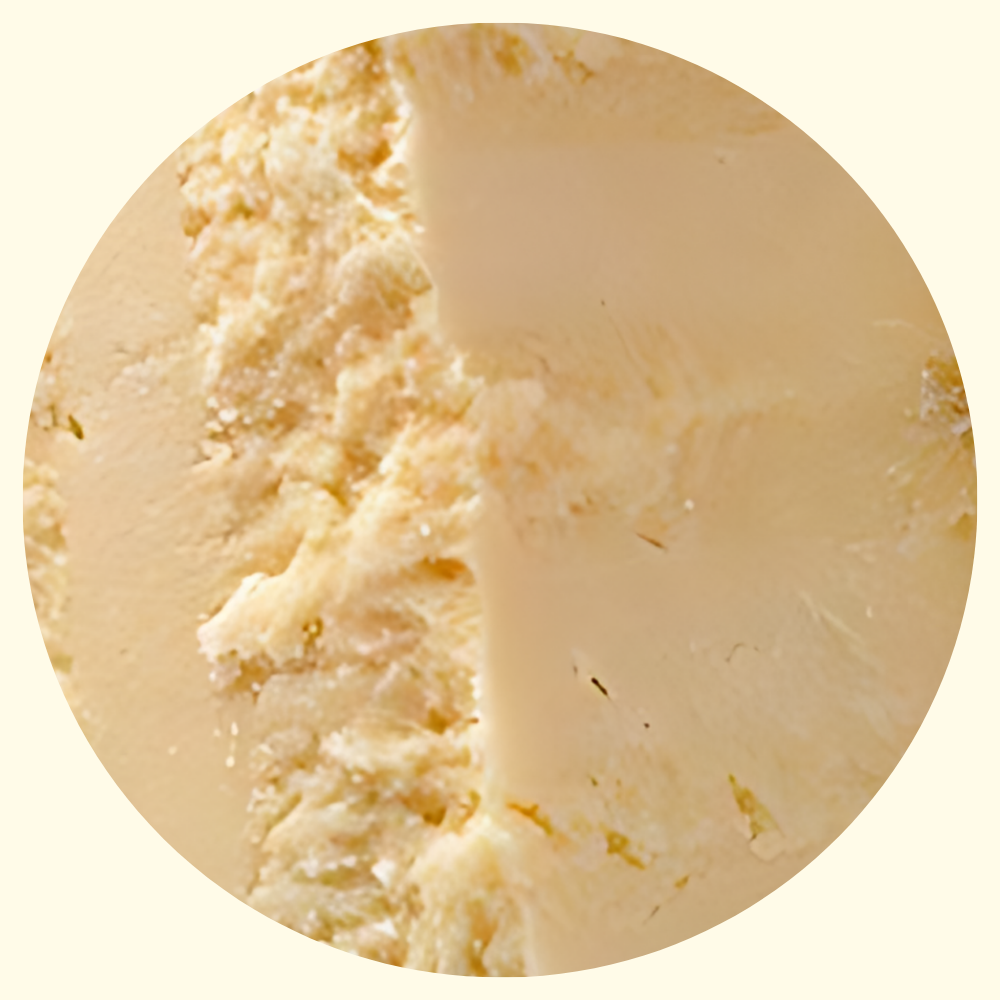 Grana Padano Collezione